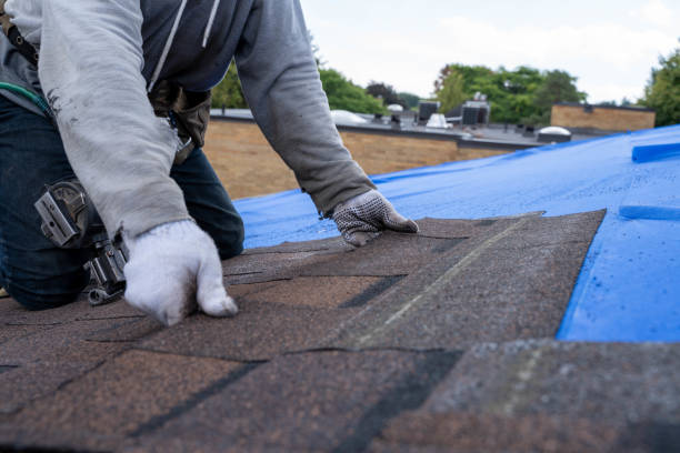 Best Roof Repair Services  in Madisonville, KY